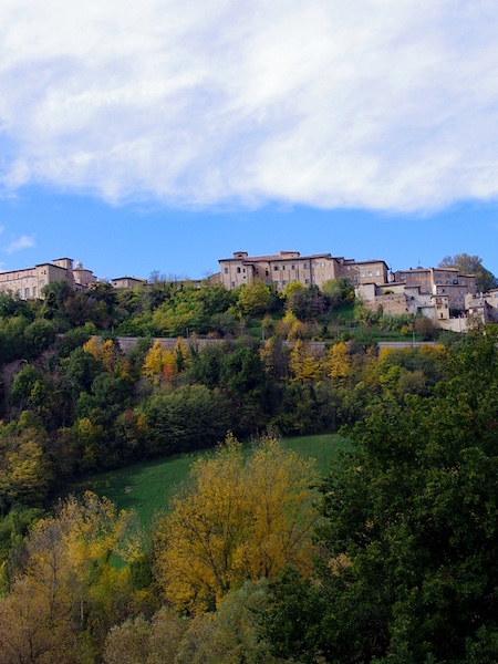 Urbino